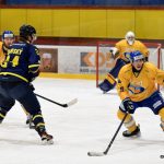 Tři body pro Písek, ústečtí Lvi byli neškodní