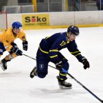 Tři body pro Písek, ústečtí Lvi byli neškodní