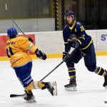 Tři body pro Písek, ústečtí Lvi byli neškodní