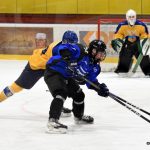 Juniorka Králů si poradila s Havířovem