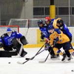 Juniorka Králů si poradila s Havířovem