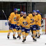 Tři body pro Písek, ústečtí Lvi byli neškodní