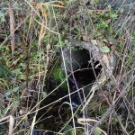 Nízká hladina Lipna odhalila roury vedoucí do přehrady. Je vůbec reálné zjistit, kdo jimi vypouští?