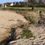 Nízká hladina Lipna odhalila roury vedoucí do přehrady. Je vůbec reálné zjistit, kdo jimi vypouští?