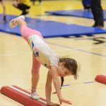 Sokolská akademie naplnila sportovní halu filmovou hudbou