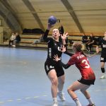 První domácí porážka. Strakonické házenkářky nestačily na Vršovice B