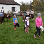 Hubertskou jízdu v Dobrošově u Milevska si v sobotu mohou užít i děti bez koní