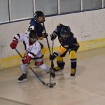 Mladší žáci HC Strakonice zachraňovali remízu v závěru