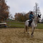 Podzimní Hubertskou vyjížďku si v Dobrošově a Klisinci užili jezdci i diváci