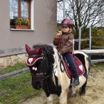 Podzimní Hubertskou vyjížďku si v Dobrošově a Klisinci užili jezdci i diváci