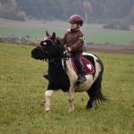 Podzimní Hubertskou vyjížďku si v Dobrošově a Klisinci užili jezdci i diváci