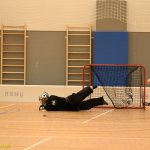 VIDEO: Florbalistům Tábora chyběl k prvnímu domácímu bodu jediný gól. Favorizovaná Slavia se třásla do poslední minuty