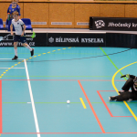 Florbal: Milevší mladší žáci 4+1 excelovali na domácí palubovce