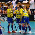 Florbal: Juniorky Milevska v domácí premiéře potrápily lídra, pak si zastřílely