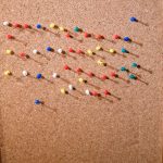 Se šípkovou, nebo se zelím na tanečním parketu. Milevsko má jasno