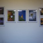 Příběh fotografky. Nalomený, ale nezlomený