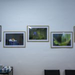 Příběh fotografky. Nalomený, ale nezlomený