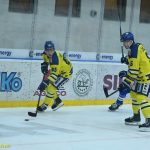 VIDEA: Hokejisté Tábora pátý korálek na vítěznou šňůru nepřidali. Přerovský Zubr odvezl od Jordánu dva body