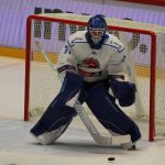 Kohouti si poprvé vyzkoušeli novou arénu v Jihlavě. Jediný gól Plášila ale na body nestačil