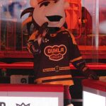 Kohouti si poprvé vyzkoušeli novou arénu v Jihlavě. Jediný gól Plášila ale na body nestačil