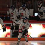 Kohouti si poprvé vyzkoušeli novou arénu v Jihlavě. Jediný gól Plášila ale na body nestačil