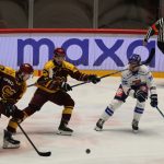 Kohouti si poprvé vyzkoušeli novou arénu v Jihlavě. Jediný gól Plášila ale na body nestačil