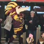 Kohouti si poprvé vyzkoušeli novou arénu v Jihlavě. Jediný gól Plášila ale na body nestačil