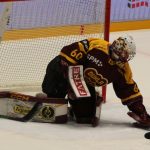 Kohouti si poprvé vyzkoušeli novou arénu v Jihlavě. Jediný gól Plášila ale na body nestačil