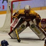 Kohouti si poprvé vyzkoušeli novou arénu v Jihlavě. Jediný gól Plášila ale na body nestačil