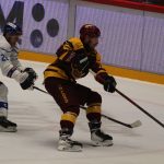 Kohouti si poprvé vyzkoušeli novou arénu v Jihlavě. Jediný gól Plášila ale na body nestačil