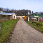 Hasiči likvidovali v bažantnici u Skal více než deset tisíc bažantů. V chovu udeřila ptačí chřipka