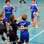 Házená: Minižákyně Milevska nestačily na budějovickou Lokádu