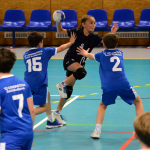 Házená: Minižákyně Milevska nestačily na budějovickou Lokádu