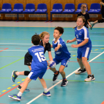 Házená: Minižákyně Milevska nestačily na budějovickou Lokádu