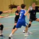 Házená: Minižákyně Milevska nestačily na budějovickou Lokádu