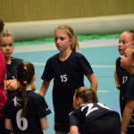 Házená: Minižákyně Milevska nestačily na budějovickou Lokádu