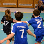 Házená: Minižákyně Milevska nestačily na budějovickou Lokádu