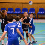 Házená: Minižákyně Milevska nestačily na budějovickou Lokádu