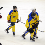 První roznesl posledního! Dorost Milevska střelecky řádil proti Strakonicím. Trenér ve třetí části šetřil opory