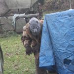 Zájem o strašidelnou stezku v Zátaví roste. Letos byla účast rekordní