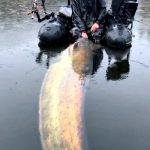 Rybář Jakub Vágner ulovil na orlické přehradě obřího sumce. Usiloval o to tři roky