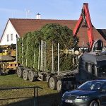 Vánoční posel zpod Kletě už zdobí krumlovské náměstí