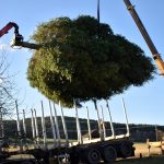 Vánoční posel zpod Kletě už zdobí krumlovské náměstí