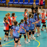 Letošní Milevskou minipralinku opanovala družstva z Plzně