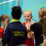 Letošní Milevskou minipralinku opanovala družstva z Plzně