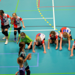 Letošní Milevskou minipralinku opanovala družstva z Plzně