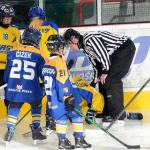 Mladší žáci Milevska dominují své soutěži. V sezoně ještě neztratili jediný bod