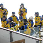 Mladší žáci Milevska dominují soutěži, Veselí nasázeli 15 branek