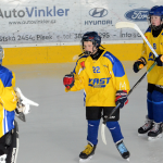 Mladší žáci Milevska dominují soutěži, Veselí nasázeli 15 branek