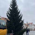 VIDEO: Na píseckém náměstí už stojí vánoční strom